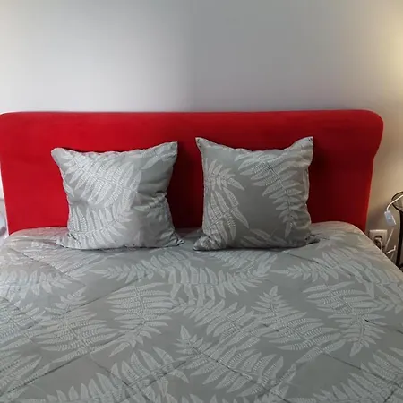 Guest house Cool